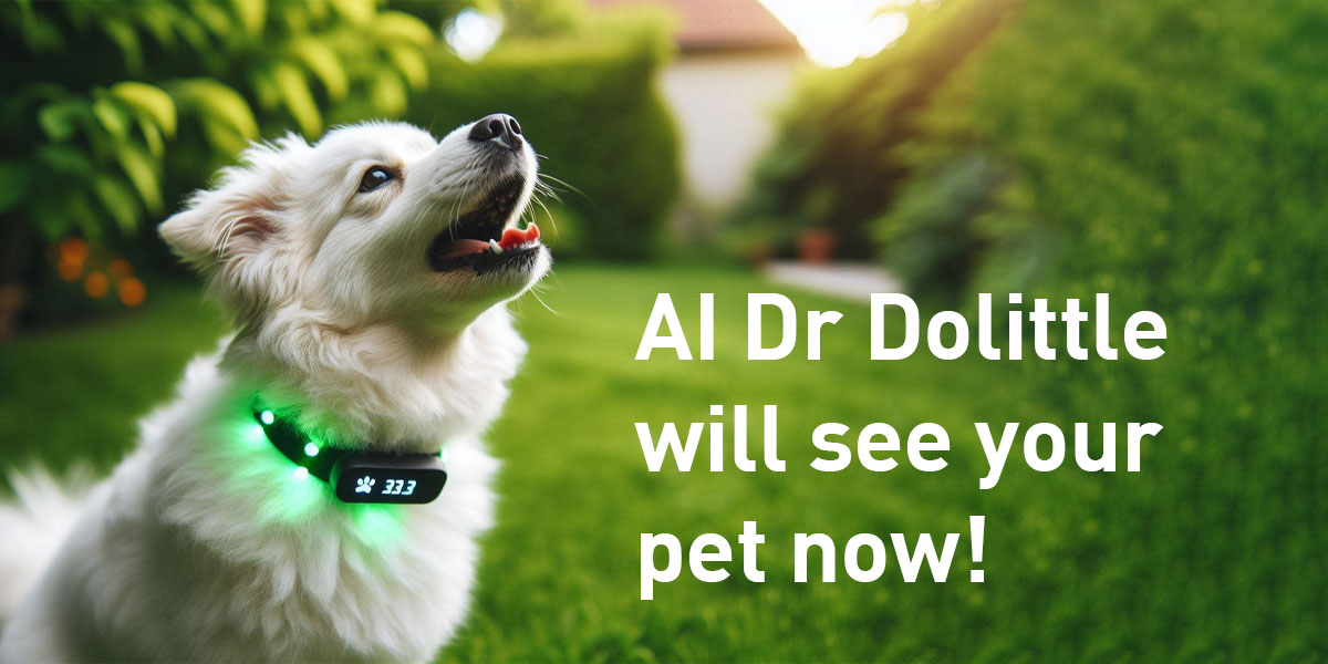 AI Dr Dolittle will see your pet now!